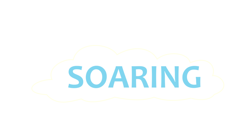 Impossible Soaring